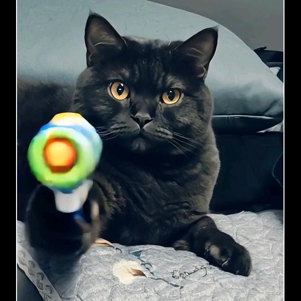 中英混血小八万