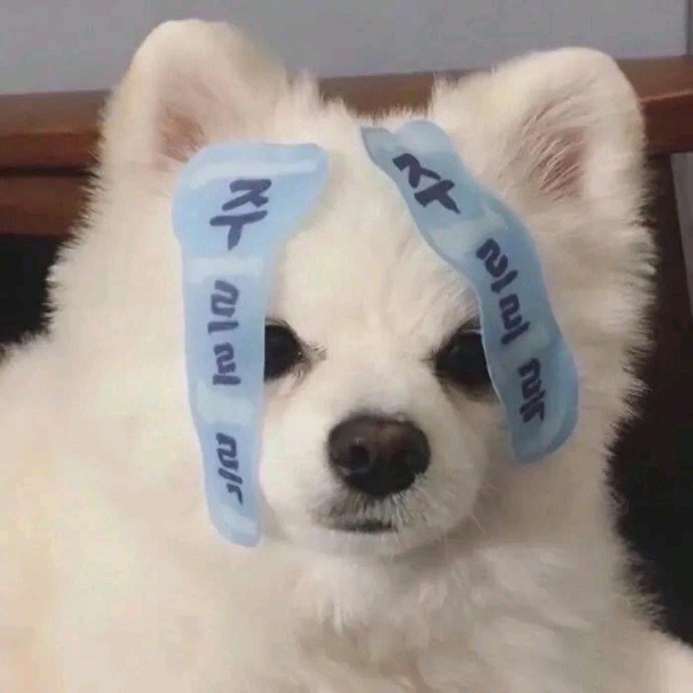 朱颜辞镜花辞树