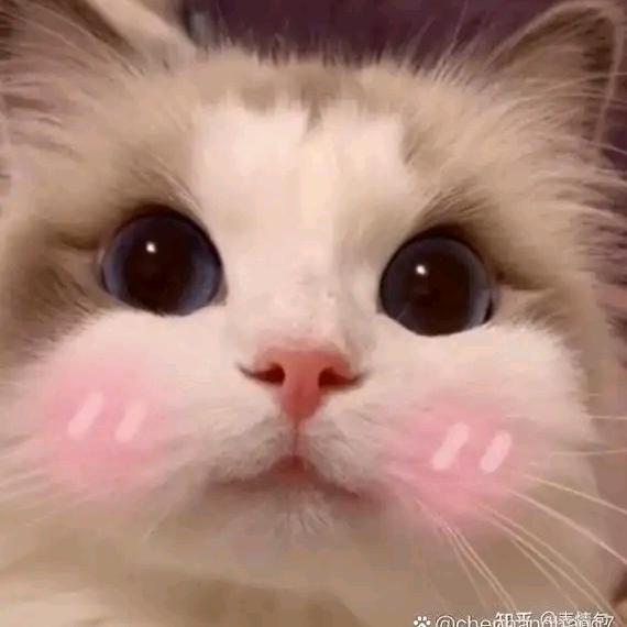 葫芦😛娃