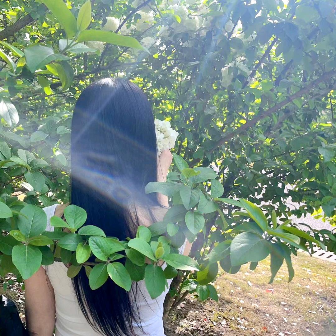 上上签@艳艳🩷