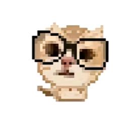 番茄不炒蛋(๑•̌.•̑๑)