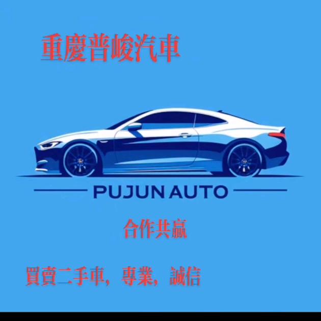 重庆老王二手车