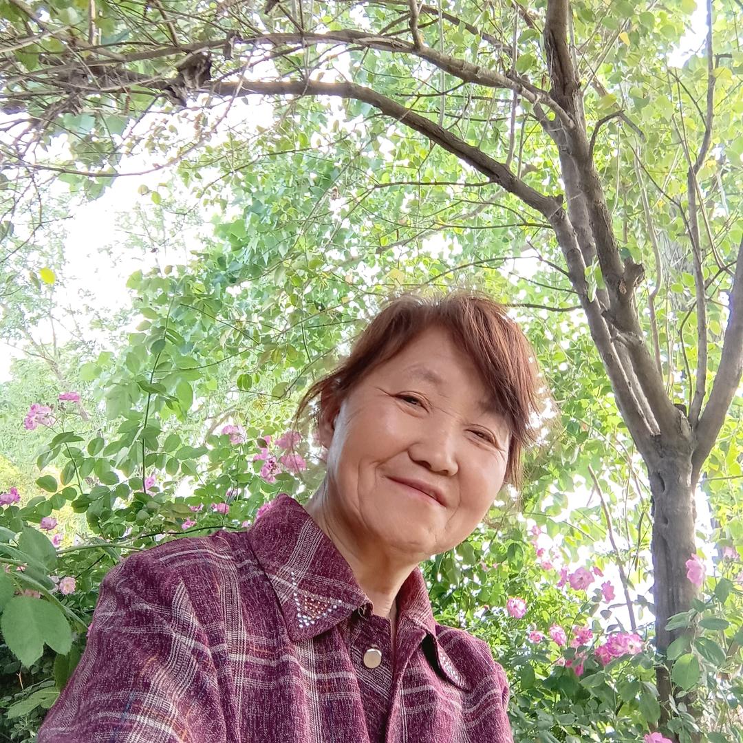沉默人早上7点10分开播