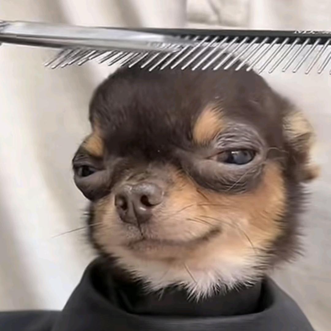 网恋被骗一个亿痛苦涕流