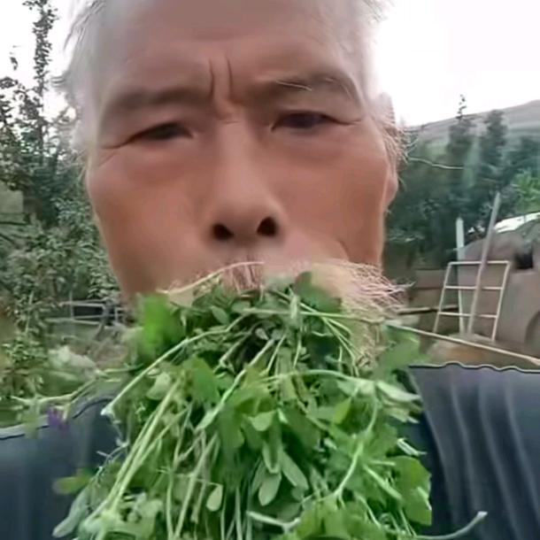 臭臭的屁股缝