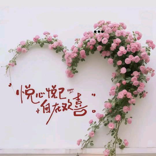 ✨如愿
