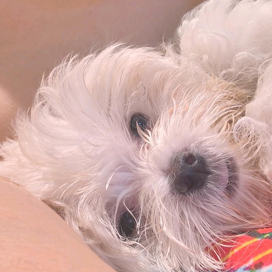 这是一个好名字