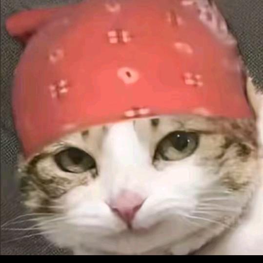 老王（早日上岸）