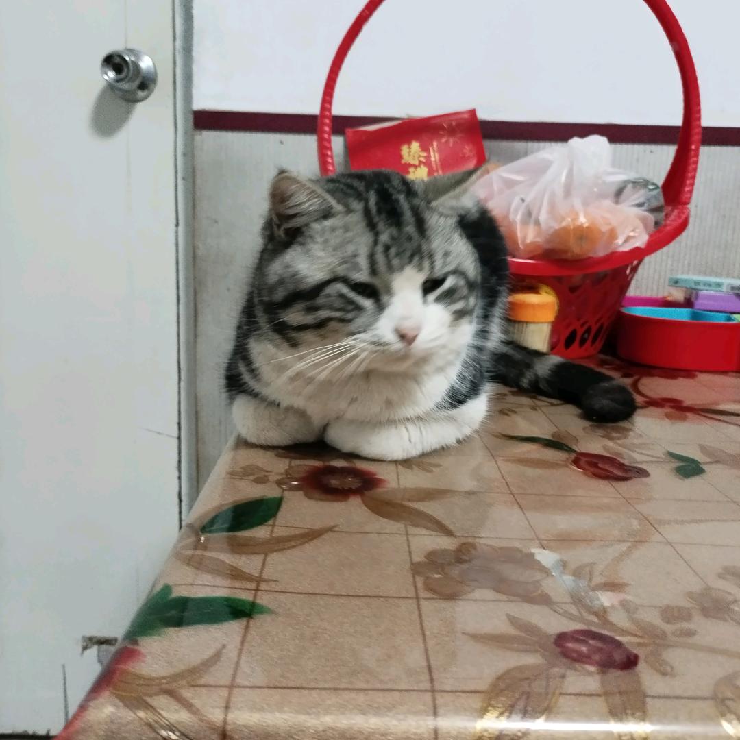 德国凯瑟艺术漆