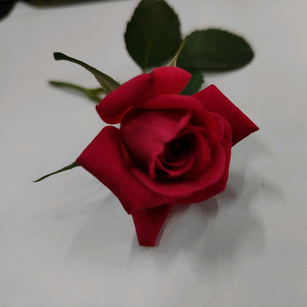 做一个爱运动的女孩#彬彬同学