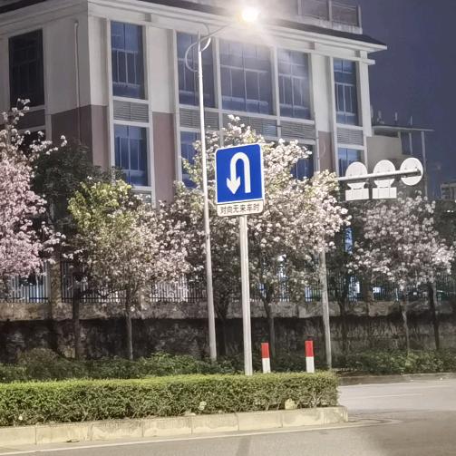梧桐树@