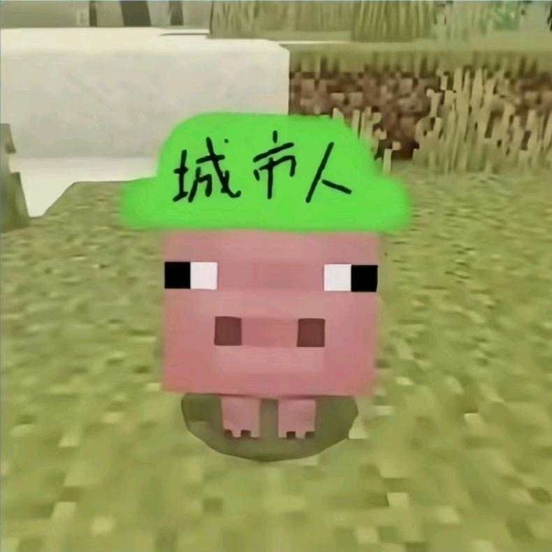 Belieber（见过派派但礼物没到版）