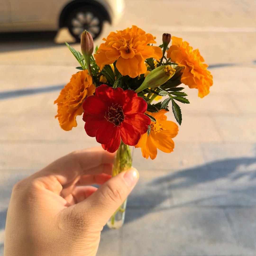 红绿灯的黄🚥⭐️✨