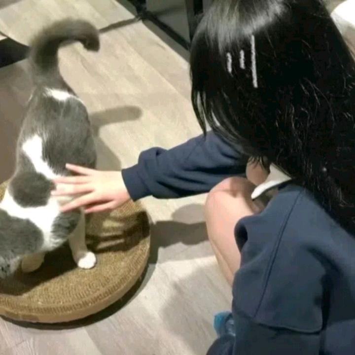 春日山居好