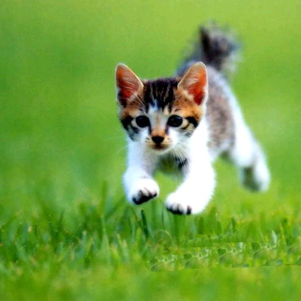 凯莱好物工厂店