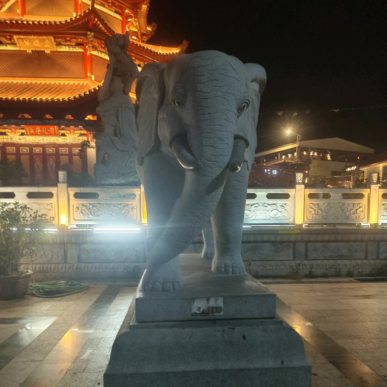 小鱼