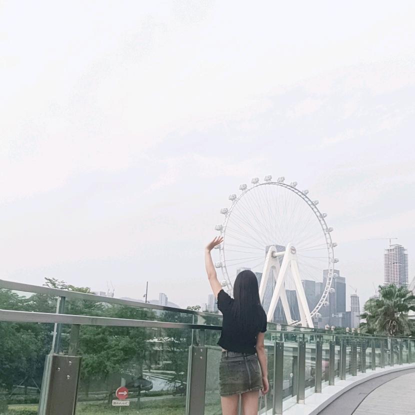 @向日葵的微笑🌻