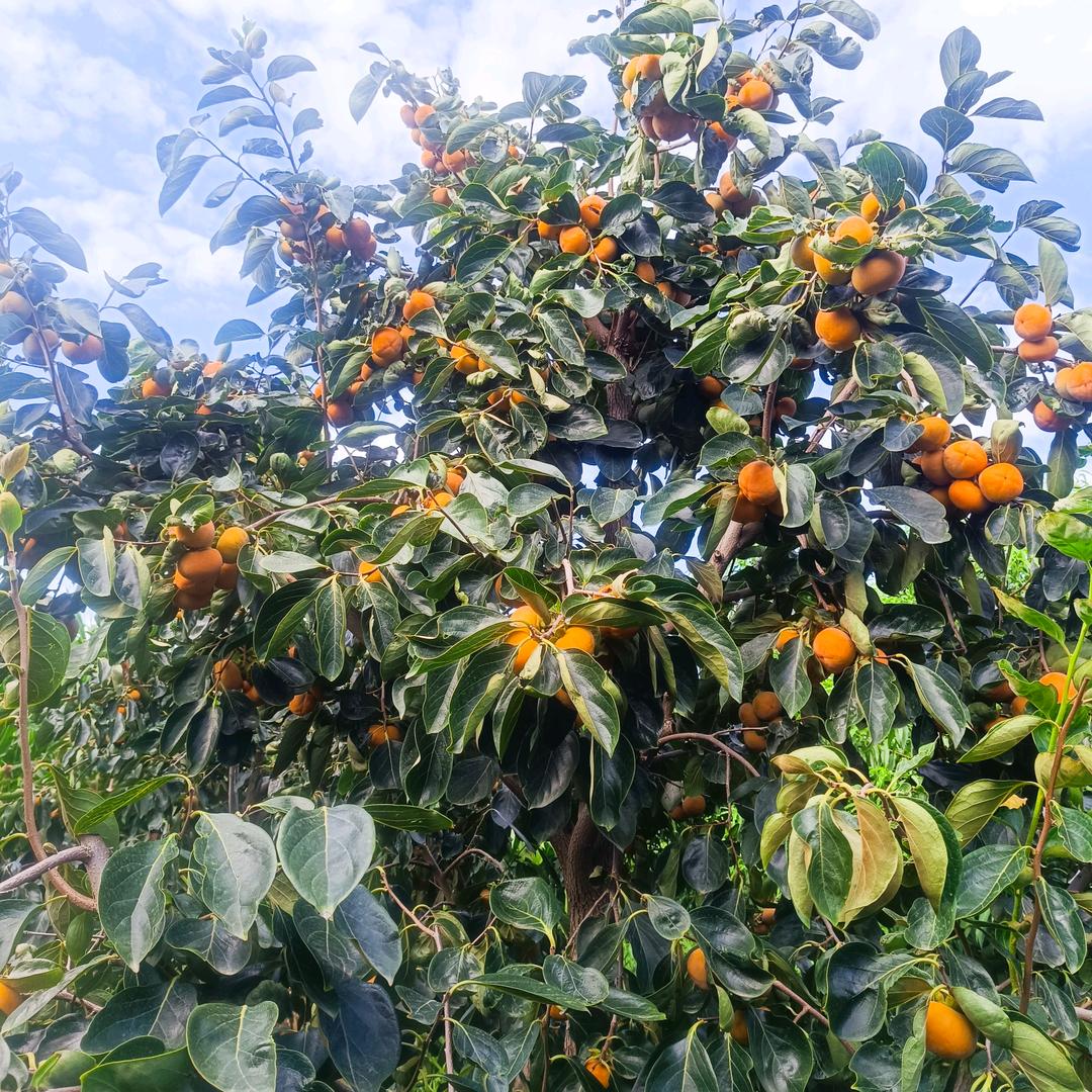 心态好心情好