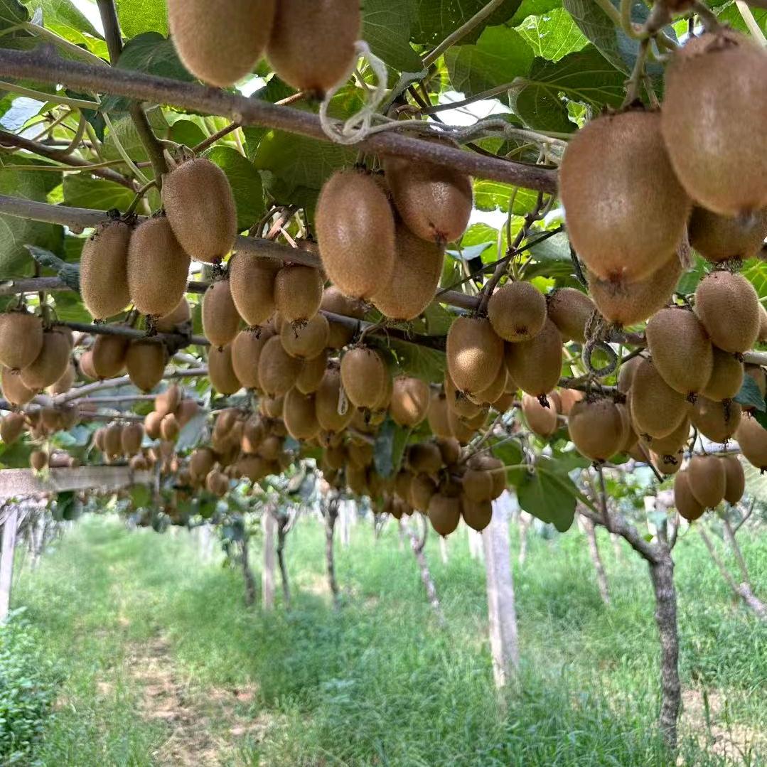 溢鲜居生鲜水果精选店