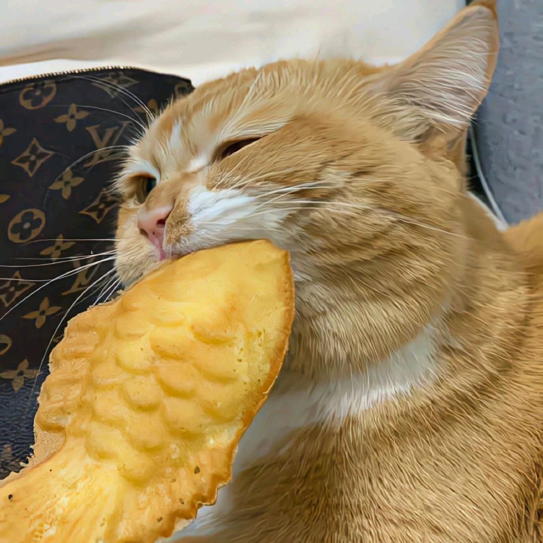 赴生.