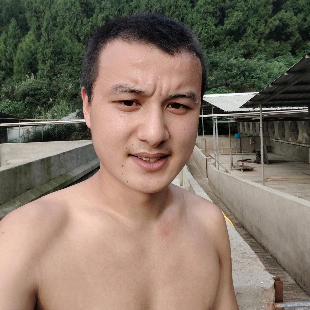 你我都是老实人