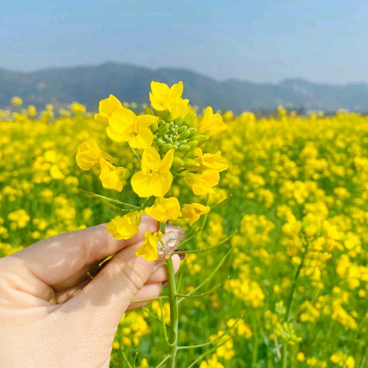 稷平百货
