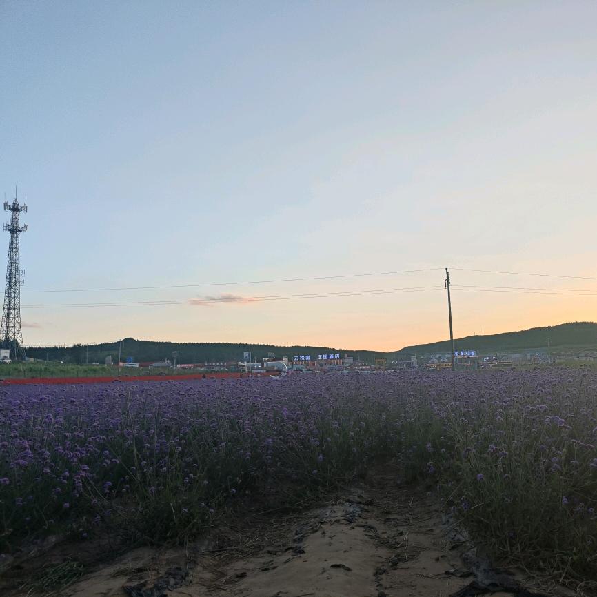 喜若保温钉批发