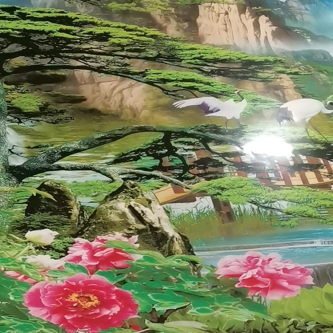 发财又暴富