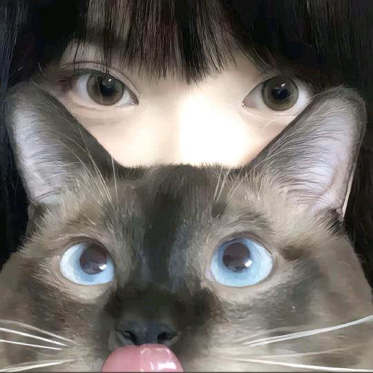 蛋黄酱（见过十个勤天版）