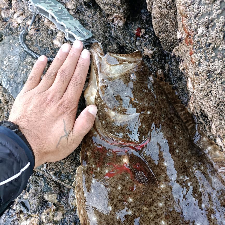 এ赶໌ᮨ路🛞人🍶དྷ༗