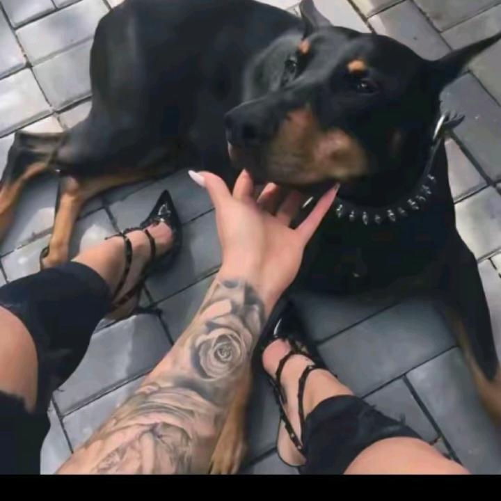 🐉阿🦂妹🐉小号