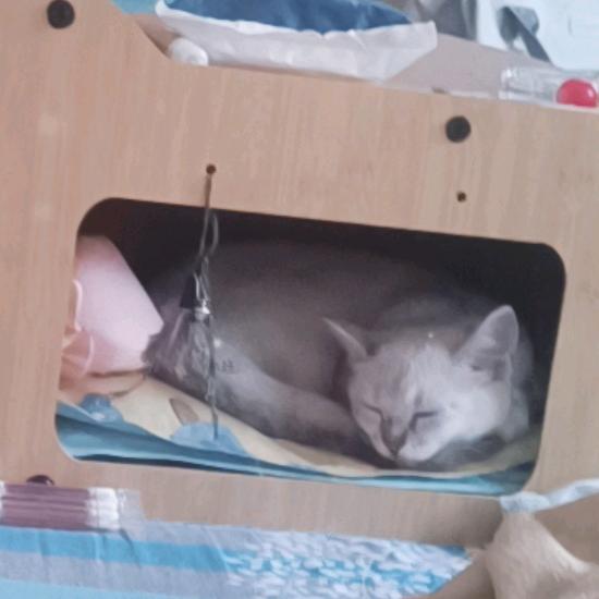 关注生活