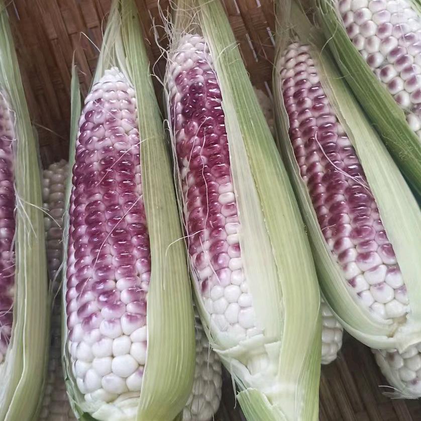 郚彩山谷→回归自然