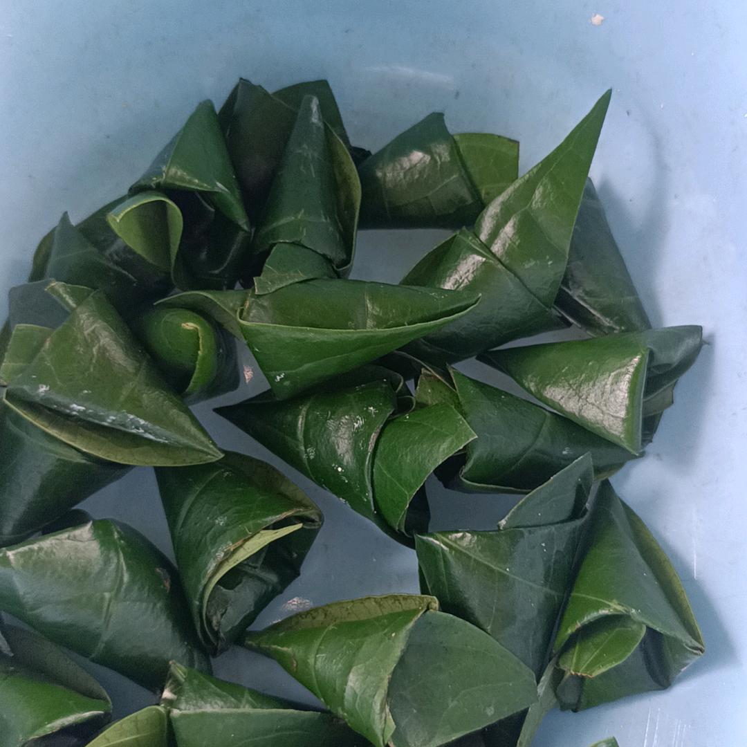 小样