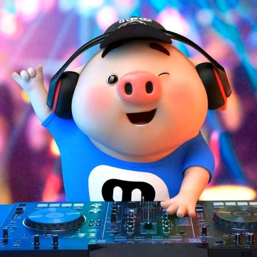 你确定，能懂我。