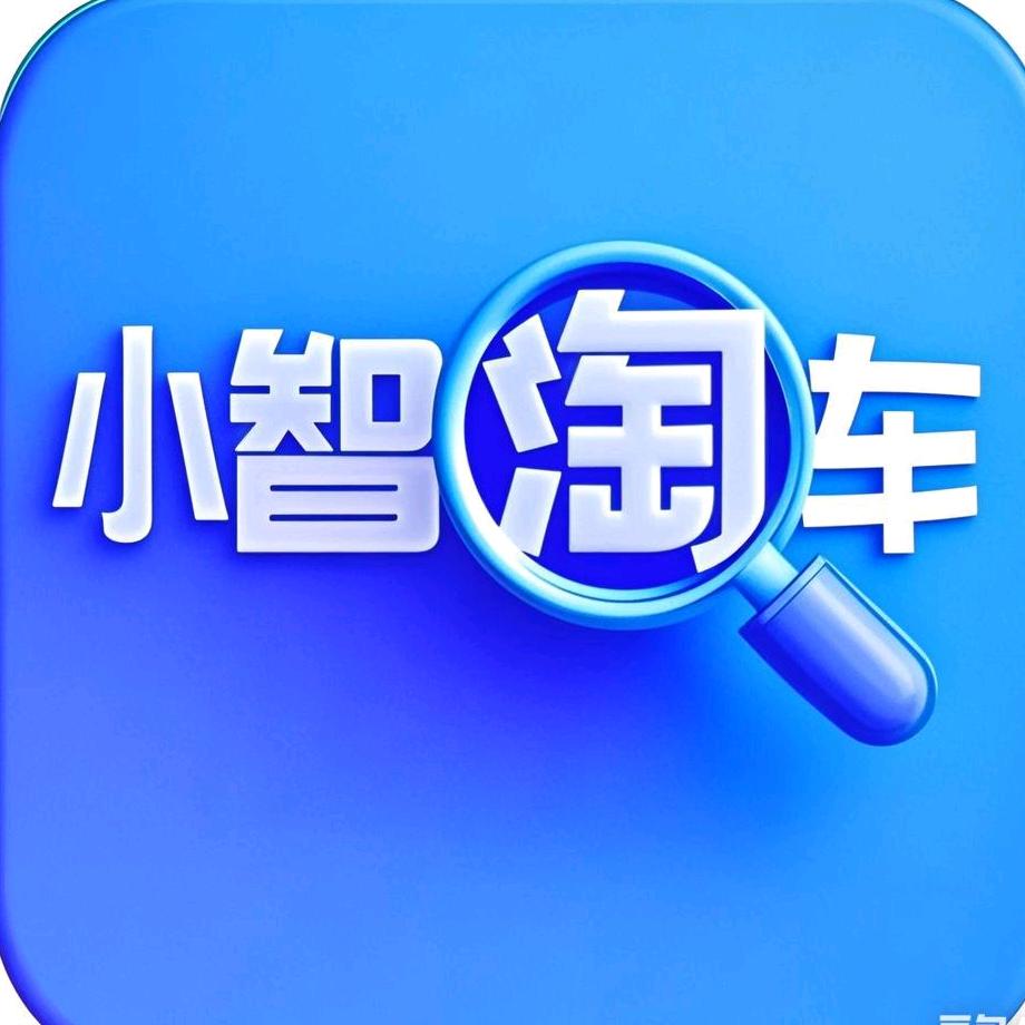 小智淘车