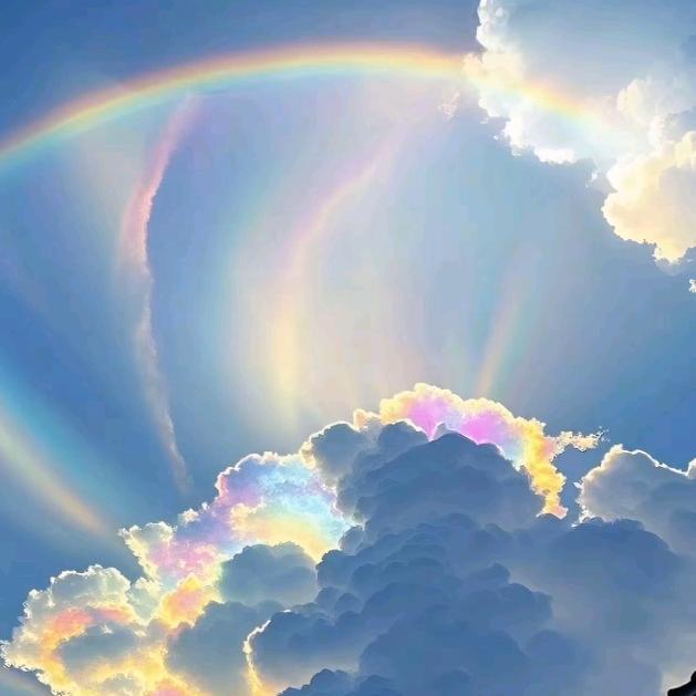 玫瑰🌹蜜糖💫