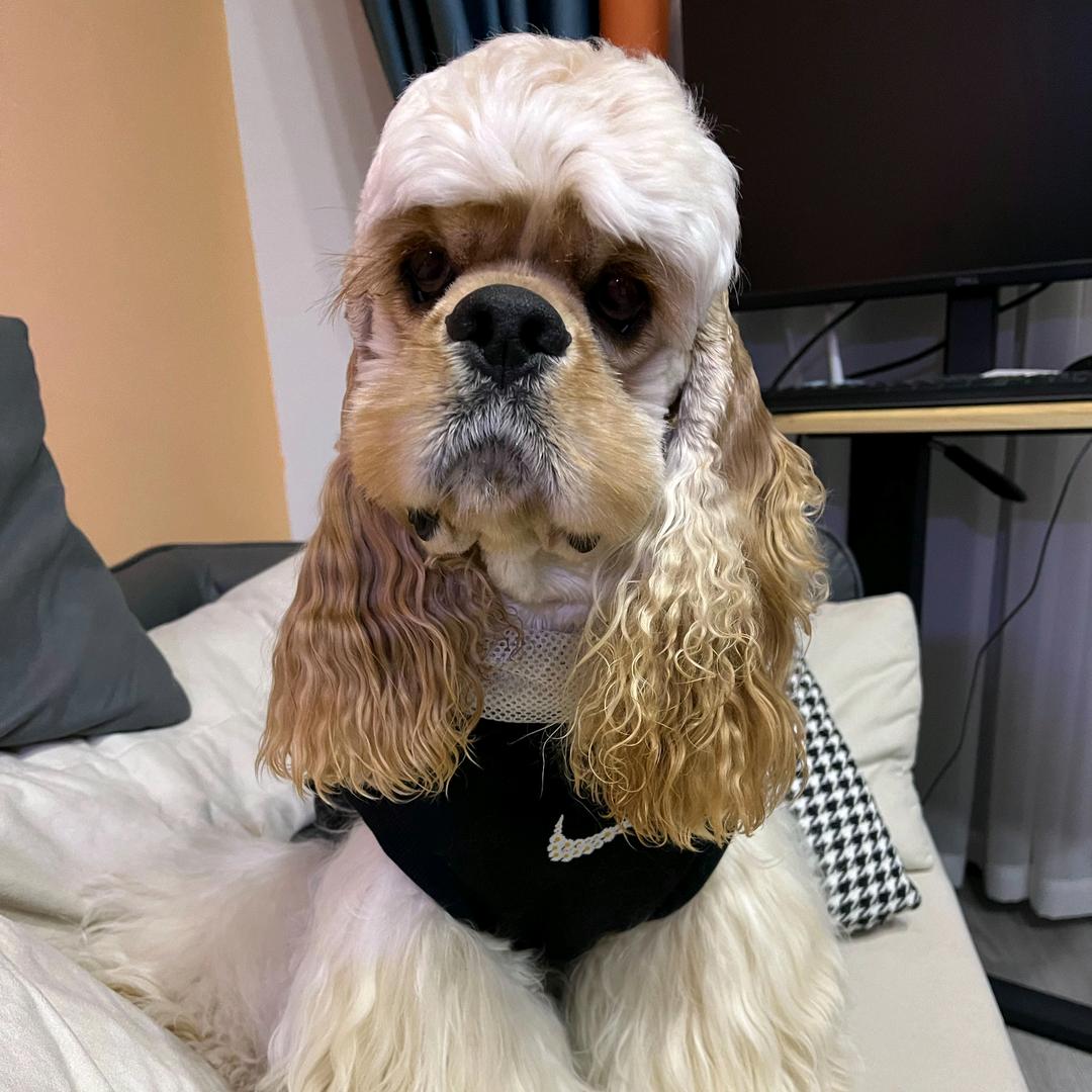 🇨🇳吴婧楠🐬