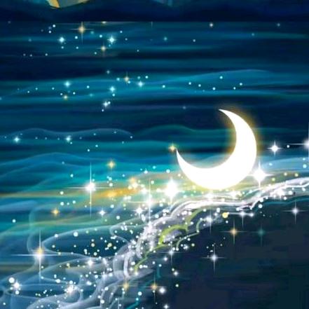 ✨月伴星辰💫