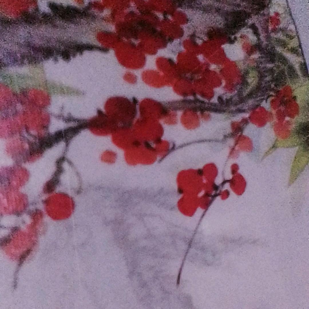 花落倾心😅🌺