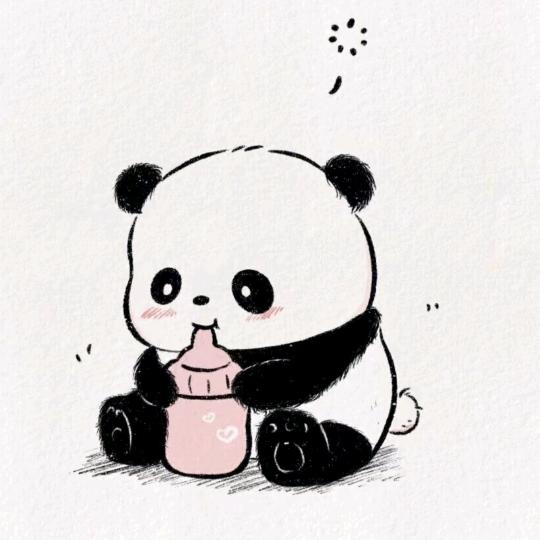 熊猫的爱