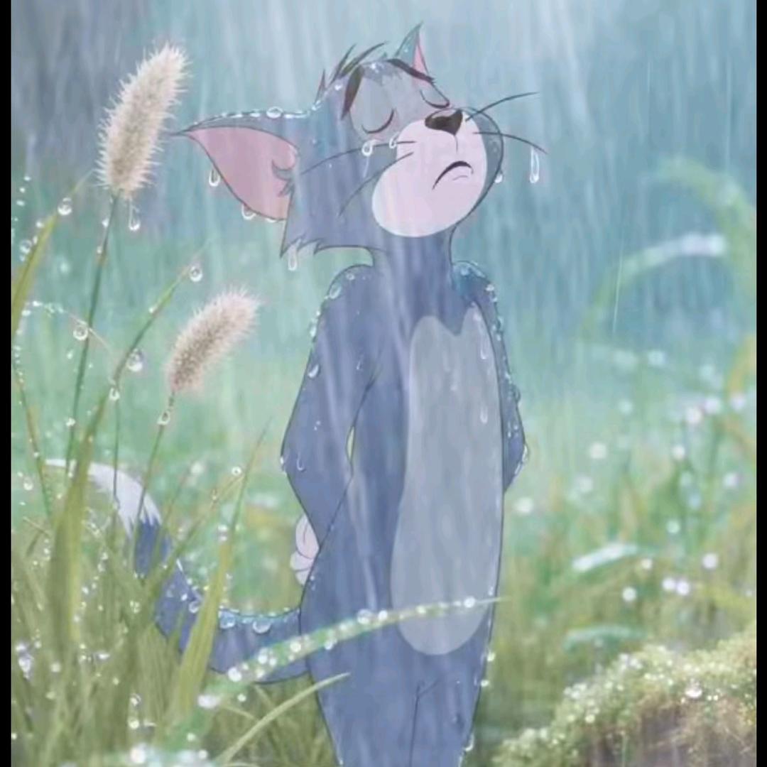 ꧔ꦿ💞幸运小锦李💞꧔ꦿ