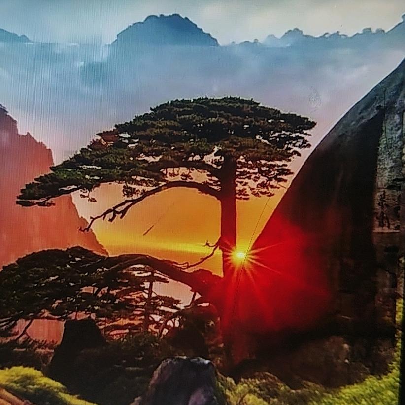 西营志超