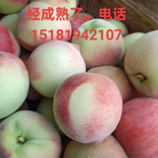 射洪果园养蜂鹅蛋粉条哥