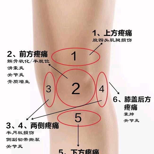 专业精油开背按摩