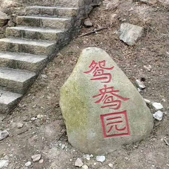 狗腿子跑腿