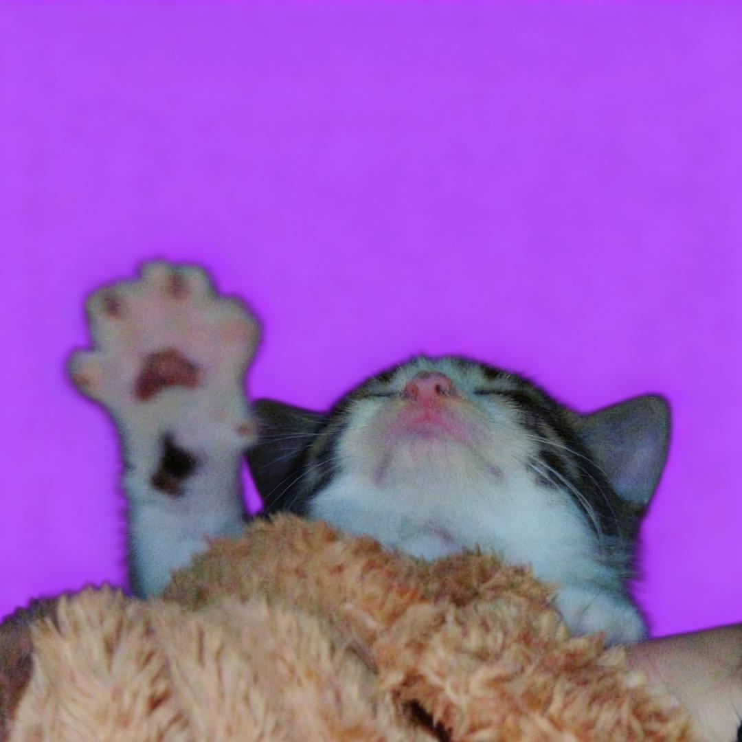 吴翎羽❤️🇨🇳