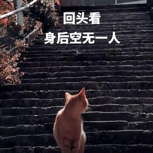 凉嗖嗖💨💨💨💨