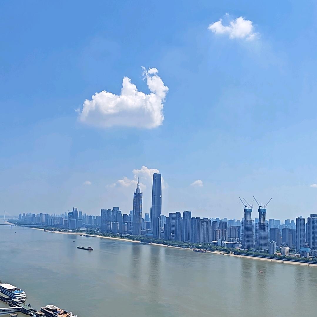 煤炭托盘资方