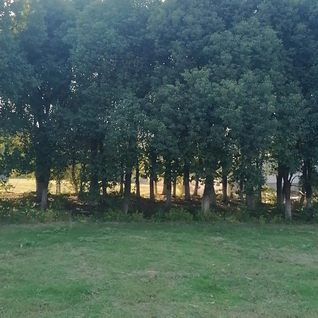 珍珍带你吃喝玩乐